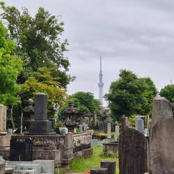Friedhof Yanaka mit Blick auf Skytree