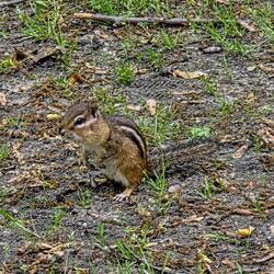 Kleiner Besucher