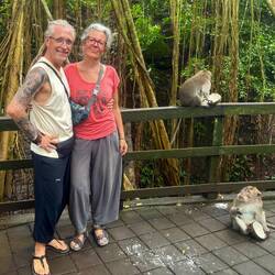 The Monkey Forest 🐒