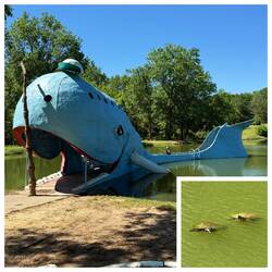 Und Kitsch, aber die Schildkröten leben ausnahmsweise mal