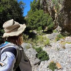 Der Anfang der Schlucht
