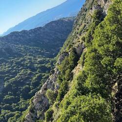 Ein Traum, echt! 🫶❤️