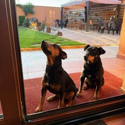 Our guest house friends
