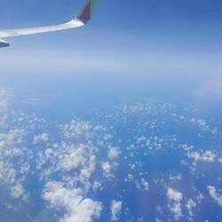 Ein fast ruhiger Flug