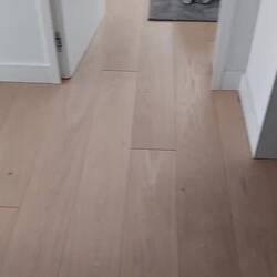Wir haben wieder ein Zuhause