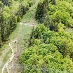 Hikers going up the mountain the hard way