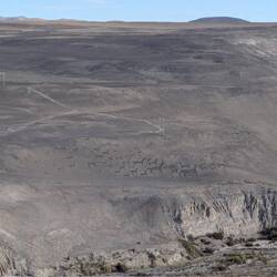 Zoom in for petroglyphs, a herd of lamas