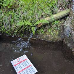 It's a kind of magic 🪄