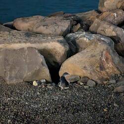 Zu Glück ist einer dann doch noch näher gekommen.