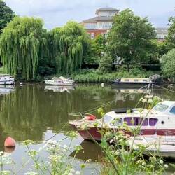 A great way to spend the afternoon