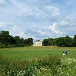 Marble Hill House: Once a private pleasure ground for the elite, now a public park popular with dogs