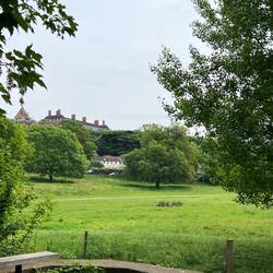 Open space accessible to walkers and grazing cattle. In the distance is Strawberry House & Gardens