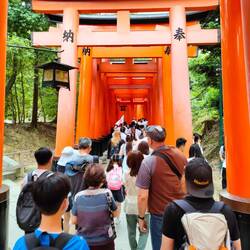 Torii-Bögen