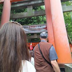 Die gesendeten Torii-Bögen