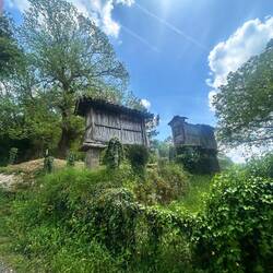 Hórreos and a finger