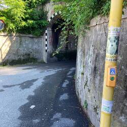 One way tunnell with traffic lights including walkers control