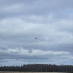 Wolken verhangen...