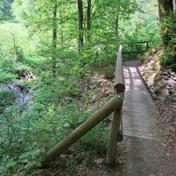 Wanderwege im Schatten des Waldes entlang dem Bachlauf