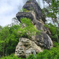 Erinnerungen an den Pfälzer Wald.