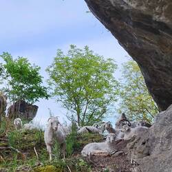 Pausenplatz mit kurzweiligem Programm.