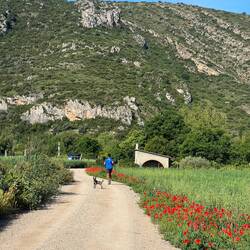 Tja Sport kommt nicht zu kurz