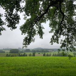 zwischen Hergensweiler und Hergatz