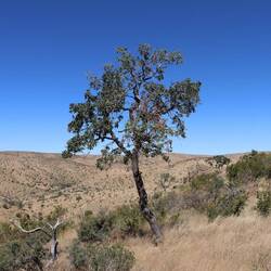 ...eine nette Abwechslung zu den Sternen