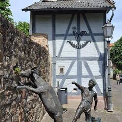 Mäh, sprang nur über Gräbelein und fand kein einzges Blättelein.....