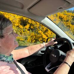 On the road, langs de bremstruiken.