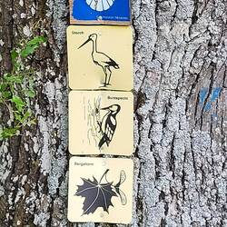 Der Muschelweg in Franke🤷