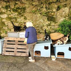 We came accross her at the time her daily feeding.