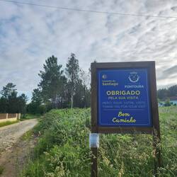 Hola, España🇪🇸!