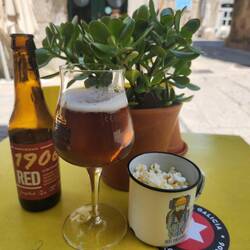 After a long hot walk, a cold beer is the best drink.