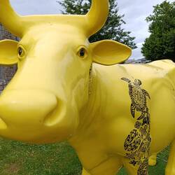 🐄 mit 🐢 = 🤔