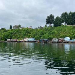 Gig Harbor homes just outside the cove.