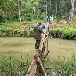 Walking the plank