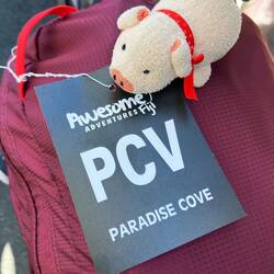 Bloß nicht zu früh abladen ⛴️