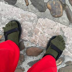 Camino fashion
