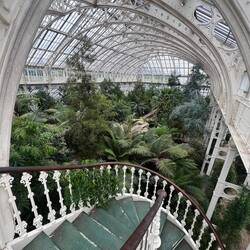 A view of the temperate house as seen from the mezzanine level