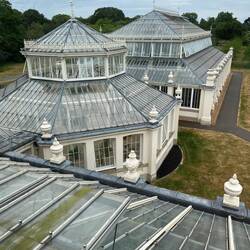 Temperate house roofs