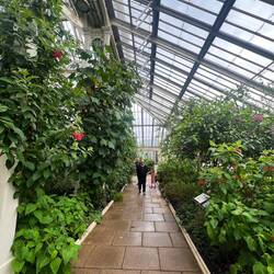 Temperate House