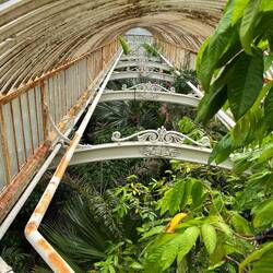 Tropical atrium mezzanine