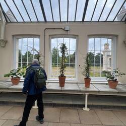 Temperate house specimens