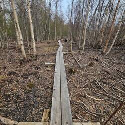 Diese Herausforderung kann man meistern..