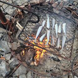 Muikku überm Feuer 🔥