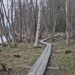 Der Weg zum Shelter. . Das allerletzte Stück geht wieder über festen Boden.