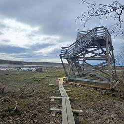 Aussichtsturm (sogar mit Fernglas an Kette!)