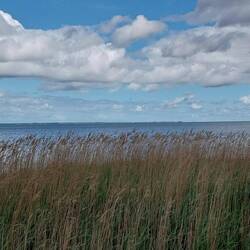 Blick über den Bodden