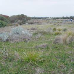 Ein neu angelegtes Naturreservat ...