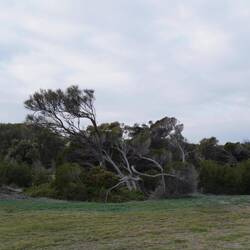 Jetzt in den Altona Coastal Park.